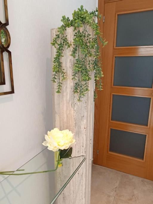 Bungalow En Primera Linea Del Mar Arenales del Sol Luaran gambar