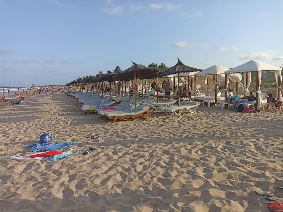 Bungalow En Primera Linea Del Mar Arenales del Sol Luaran gambar